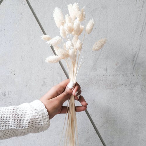 Home Accessories