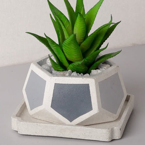 Pots & Planters