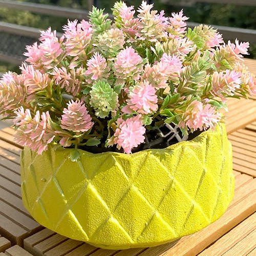 Garden & Outdoor
