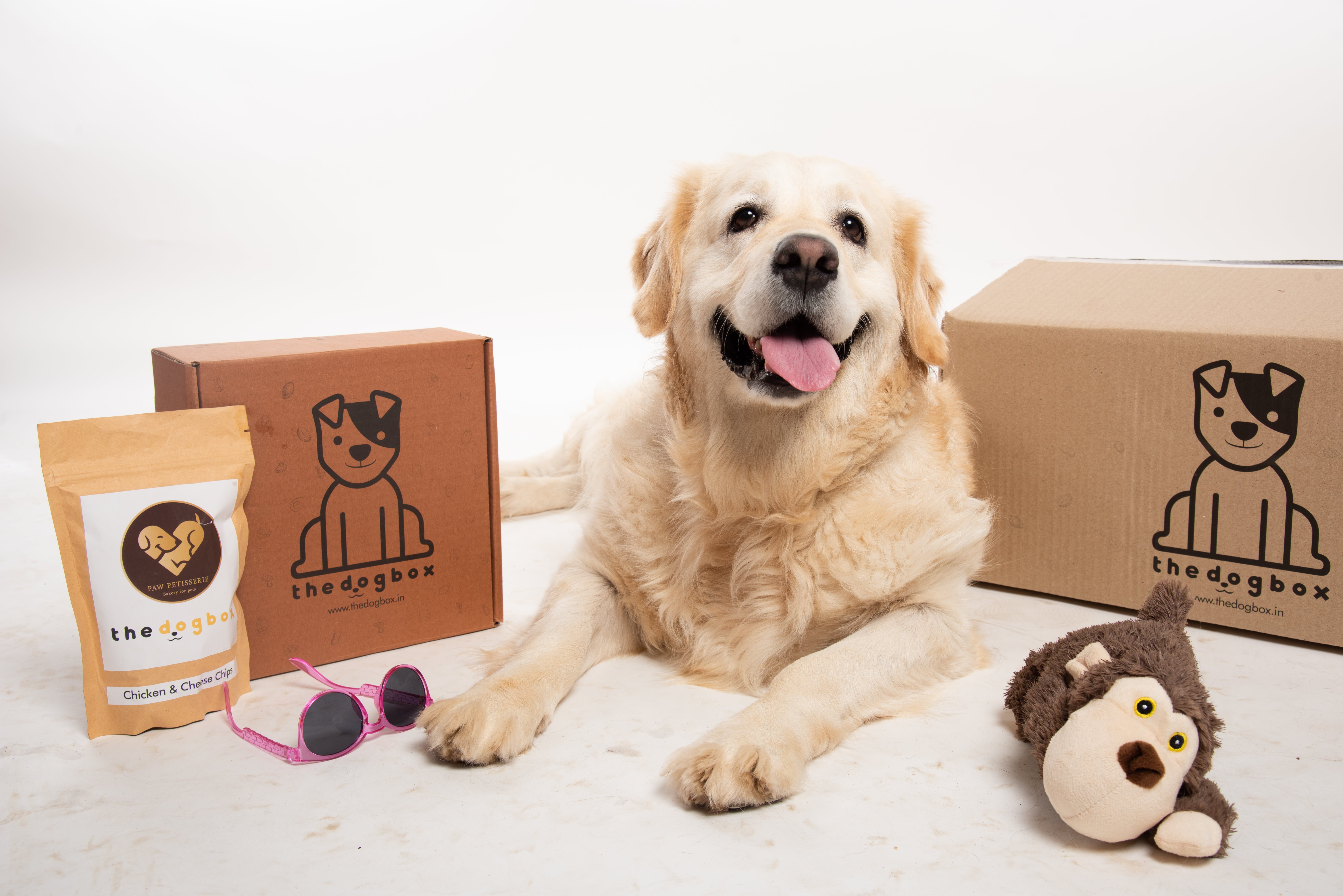 Dog subscription on sale box india